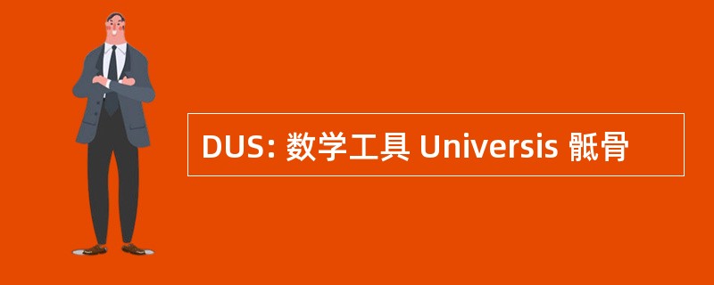 DUS: 数学工具 Universis 骶骨