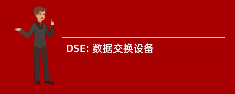 DSE: 数据交换设备