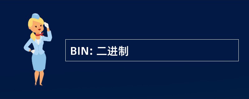 BIN: 二进制