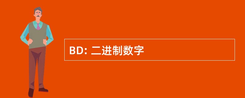 BD: 二进制数字