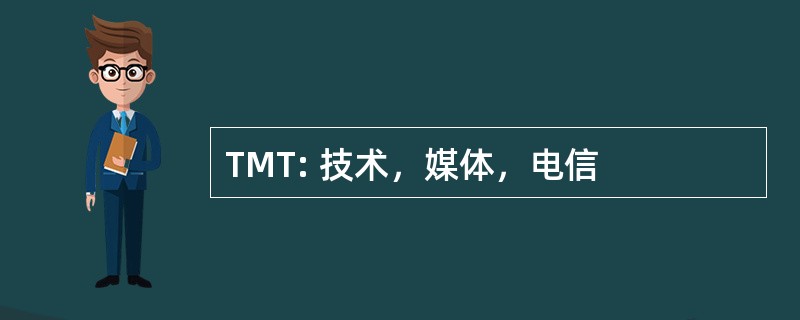 TMT: 技术，媒体，电信