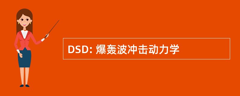 DSD: 爆轰波冲击动力学