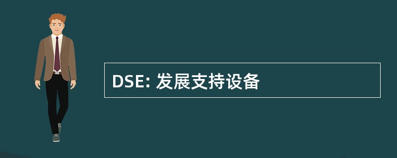 DSE: 发展支持设备