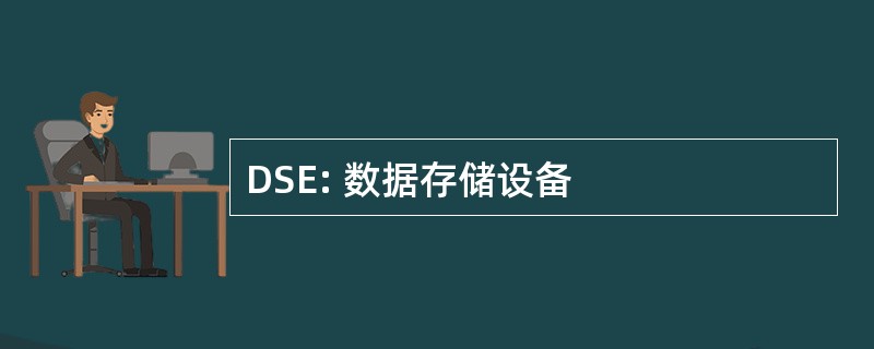 DSE: 数据存储设备