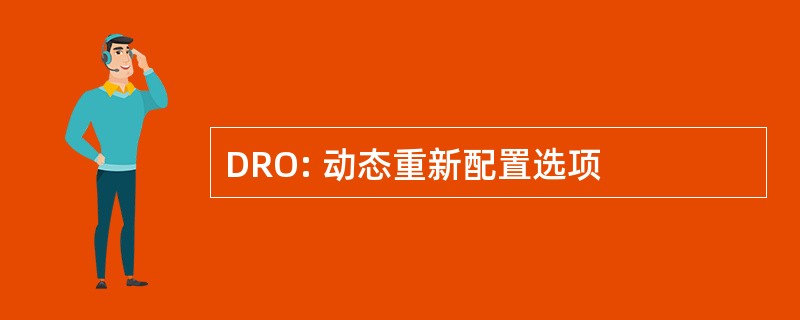 DRO: 动态重新配置选项