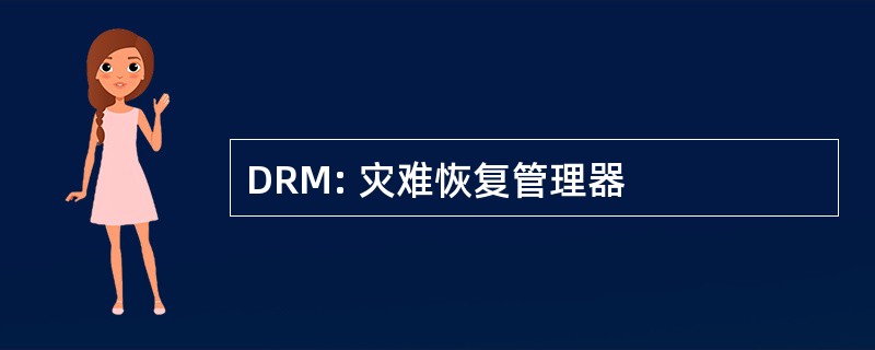 DRM: 灾难恢复管理器