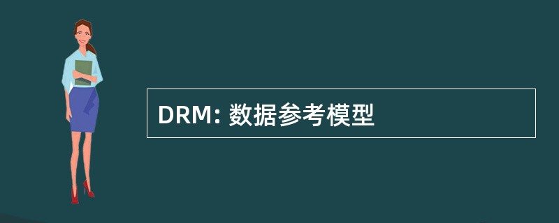 DRM: 数据参考模型