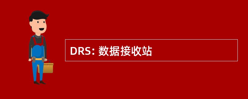 DRS: 数据接收站