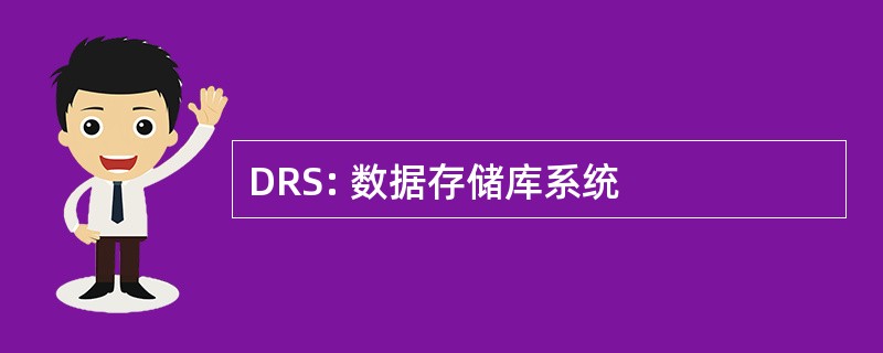 DRS: 数据存储库系统