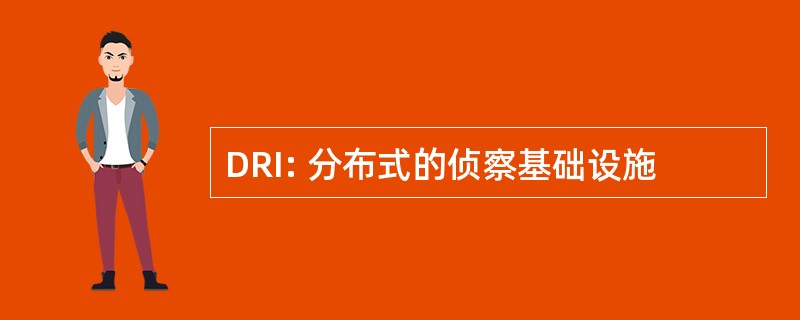 DRI: 分布式的侦察基础设施