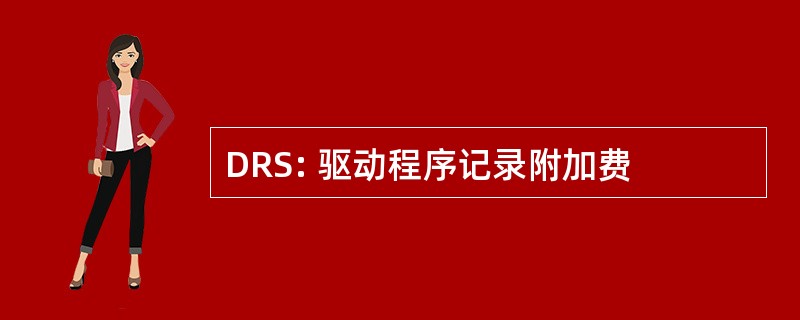 DRS: 驱动程序记录附加费