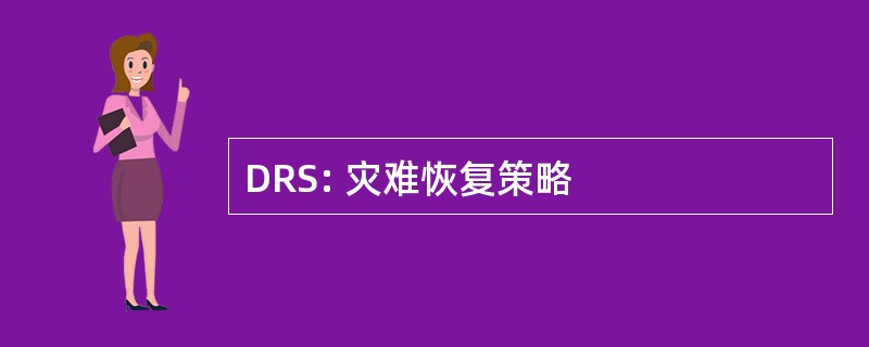 DRS: 灾难恢复策略