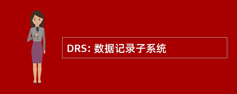 DRS: 数据记录子系统