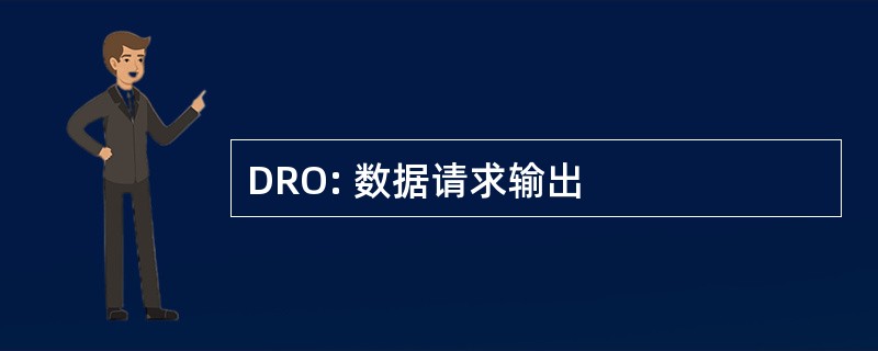 DRO: 数据请求输出