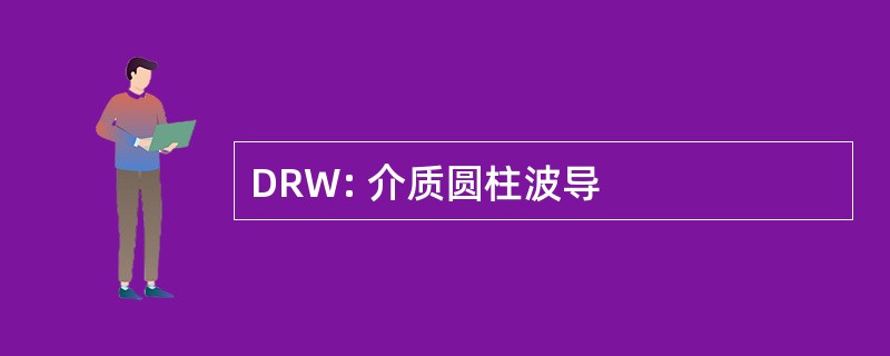 DRW: 介质圆柱波导