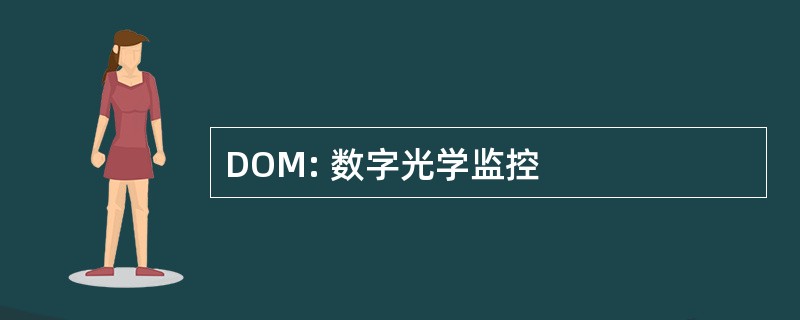 DOM: 数字光学监控