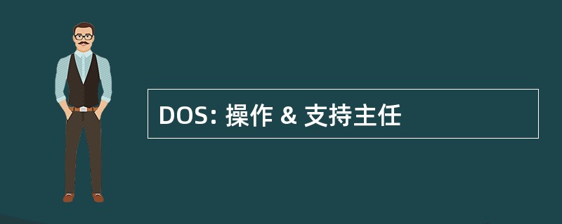 DOS: 操作 & 支持主任