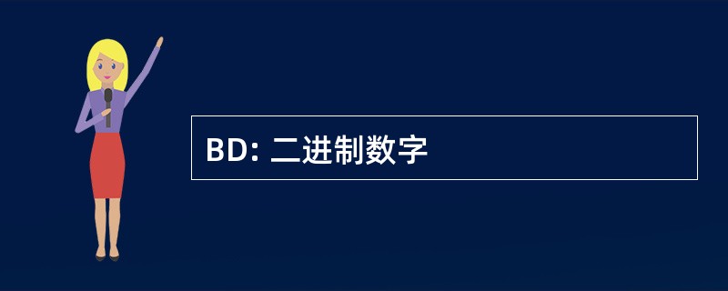 BD: 二进制数字