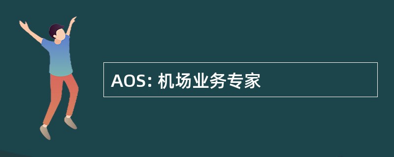 AOS: 机场业务专家