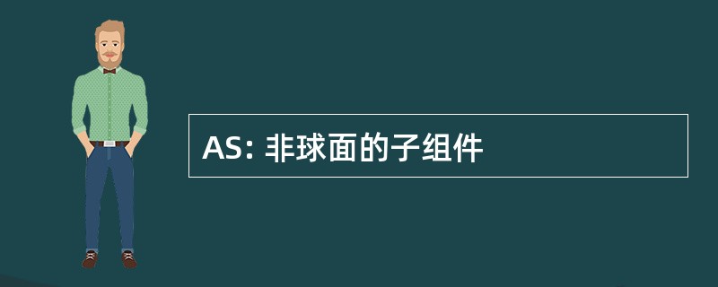 AS: 非球面的子组件