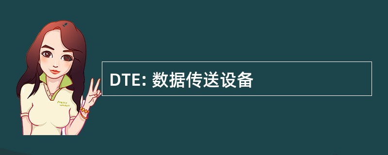 DTE: 数据传送设备