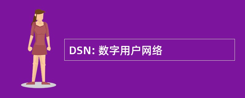 DSN: 数字用户网络