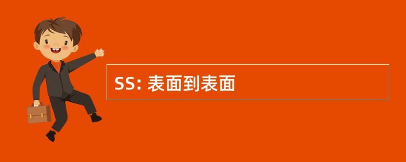 SS: 表面到表面