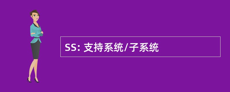 SS: 支持系统/子系统