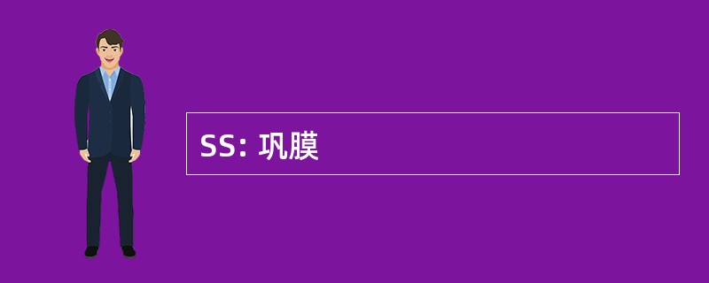 SS: 巩膜