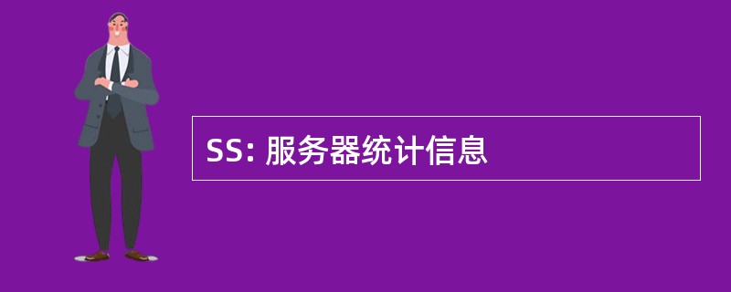 SS: 服务器统计信息