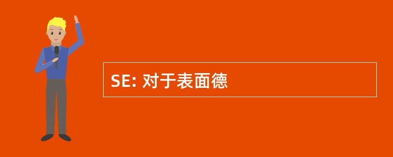 SE: 对于表面德