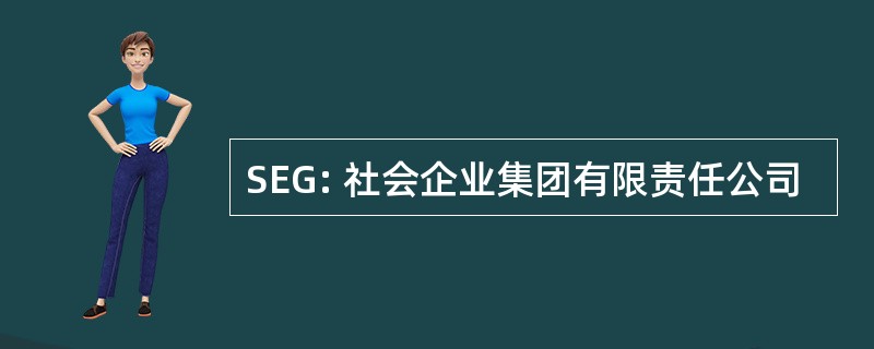 SEG: 社会企业集团有限责任公司