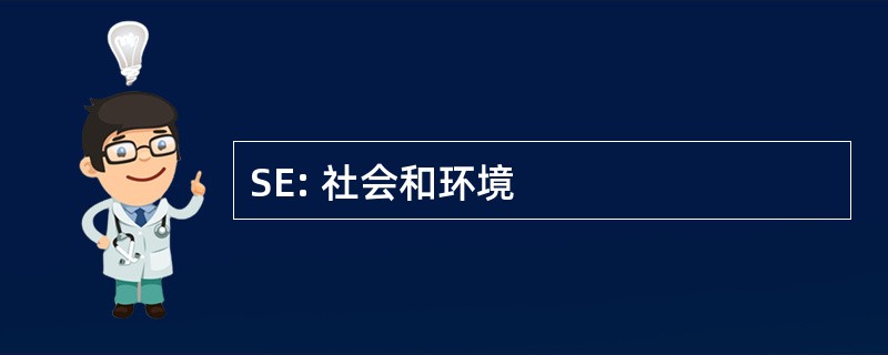 SE: 社会和环境