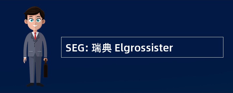 SEG: 瑞典 Elgrossister