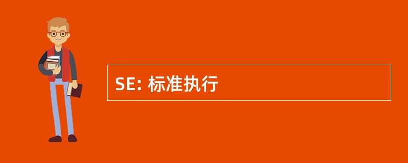 SE: 标准执行