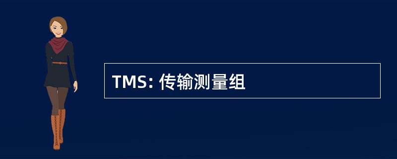 TMS: 传输测量组