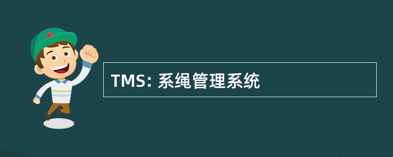 TMS: 系绳管理系统