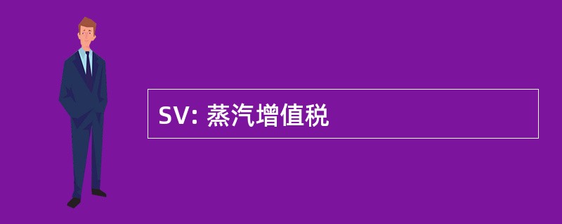 SV: 蒸汽增值税