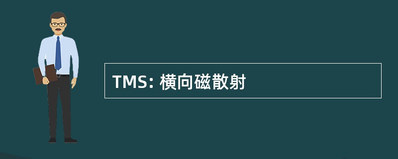 TMS: 横向磁散射