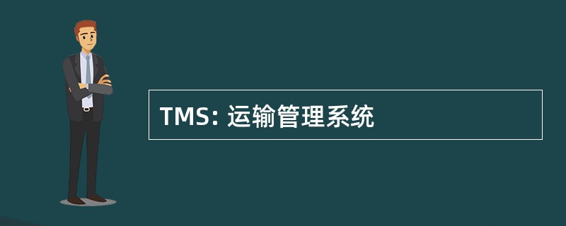 TMS: 运输管理系统