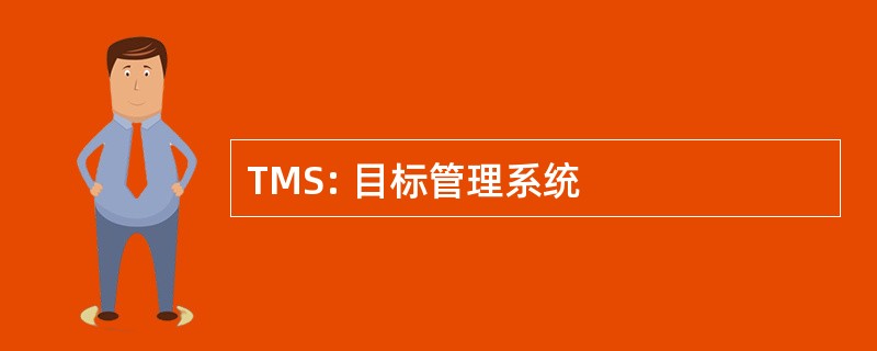 TMS: 目标管理系统