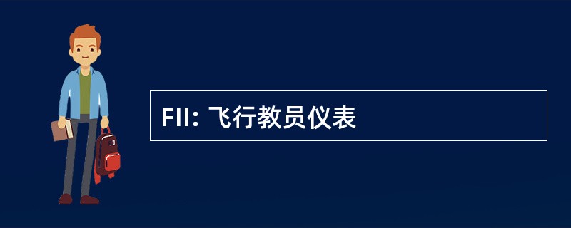 FII: 飞行教员仪表