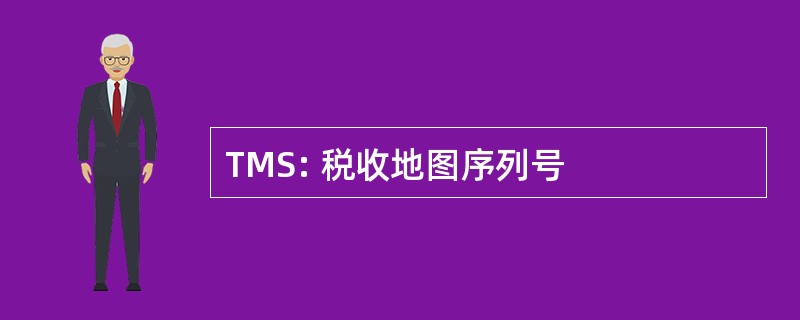 TMS: 税收地图序列号