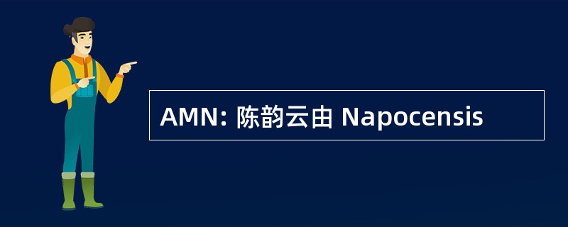 AMN: 陈韵云由 Napocensis