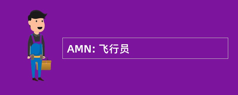 AMN: 飞行员