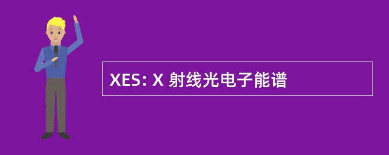 XES: X 射线光电子能谱