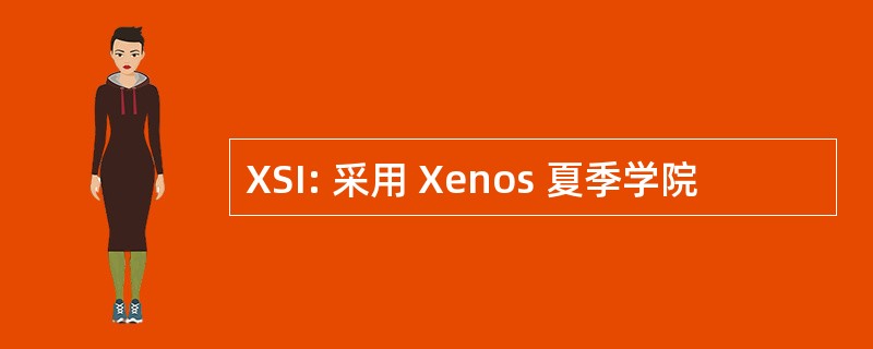 XSI: 采用 Xenos 夏季学院