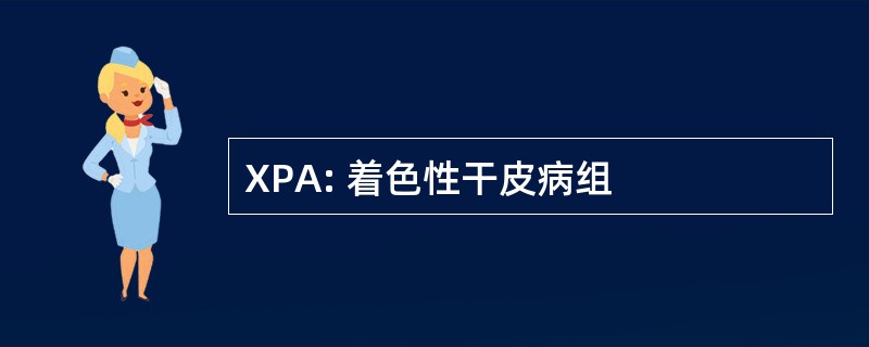 XPA: 着色性干皮病组