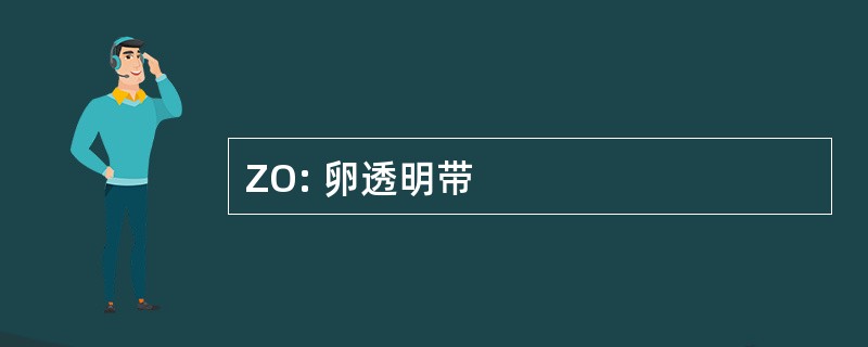 ZO: 卵透明带