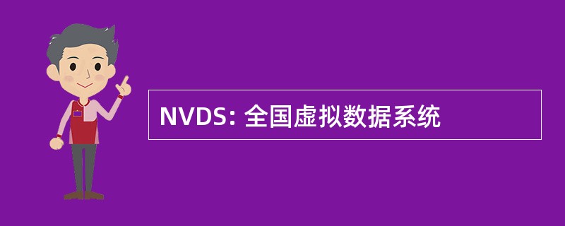 NVDS: 全国虚拟数据系统